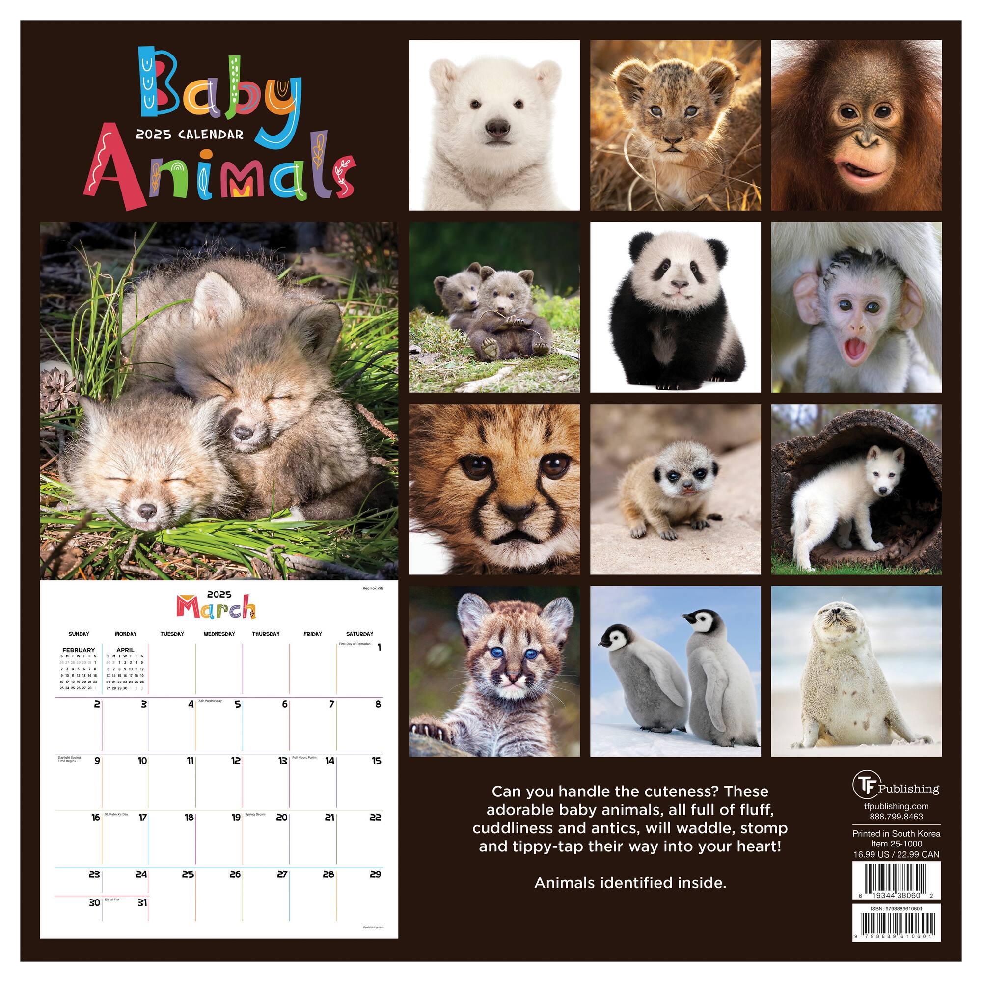 TF Publishing 2025 Baby Animals Wall Calendar